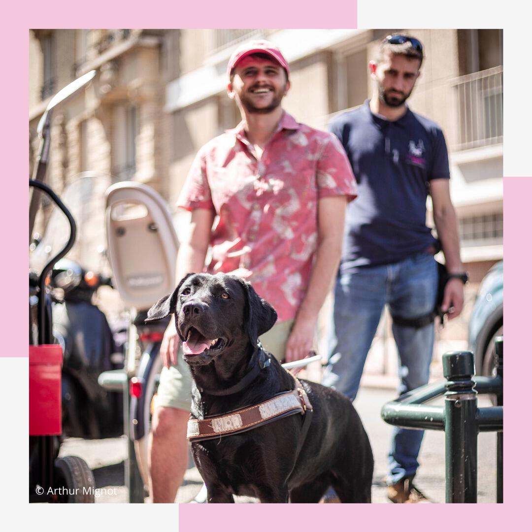 Cole De Chiens Guides De Paris Janvier Mars Savoo Fr