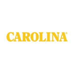 carolina boots coupon