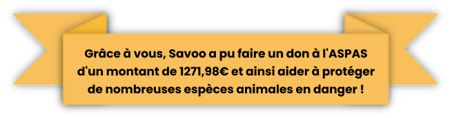 Yellow banner showing amount raised for ASPAS