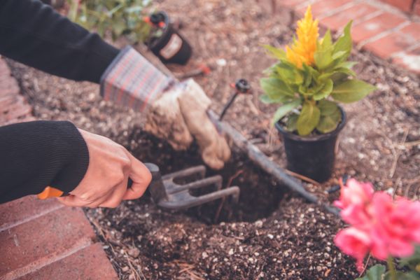 Bons plans pour la catégorie Jardinage