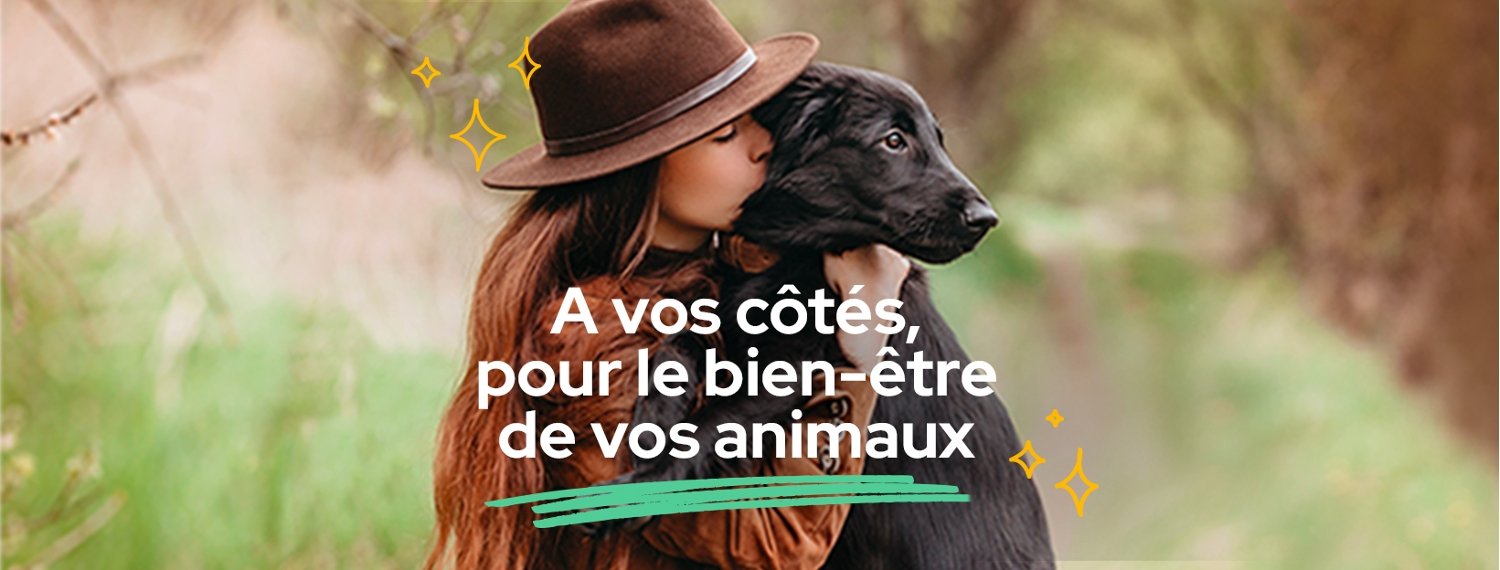 Chien Croquetteland