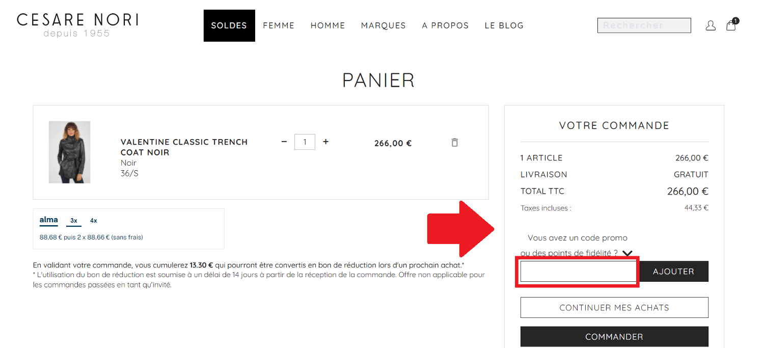 Emplacement pour code promo Cesare Nori