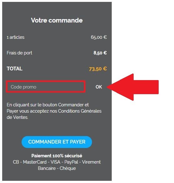 Panier de commande avec code promo Maisonic
