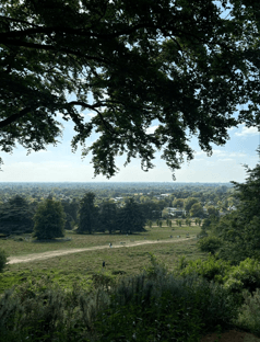 A  view of a park with trees framing the foreground. A dirt path winds through the grassy area. The horizon shows a  town under a bright, cloudy sky.