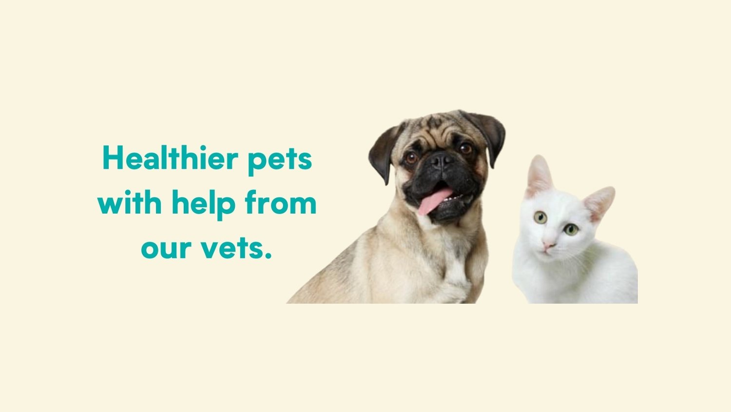 VetBox discount codes banner - healthier pets with help of vets