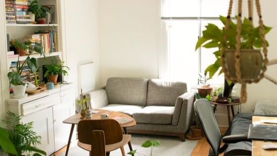 Modernes Wohnzimmer mit Sofa und Pflanzen