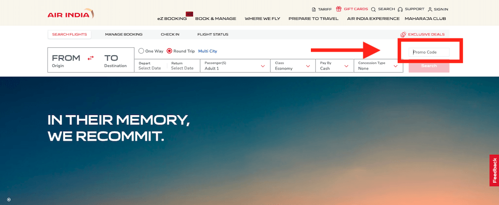 Air India coupon box at checkout