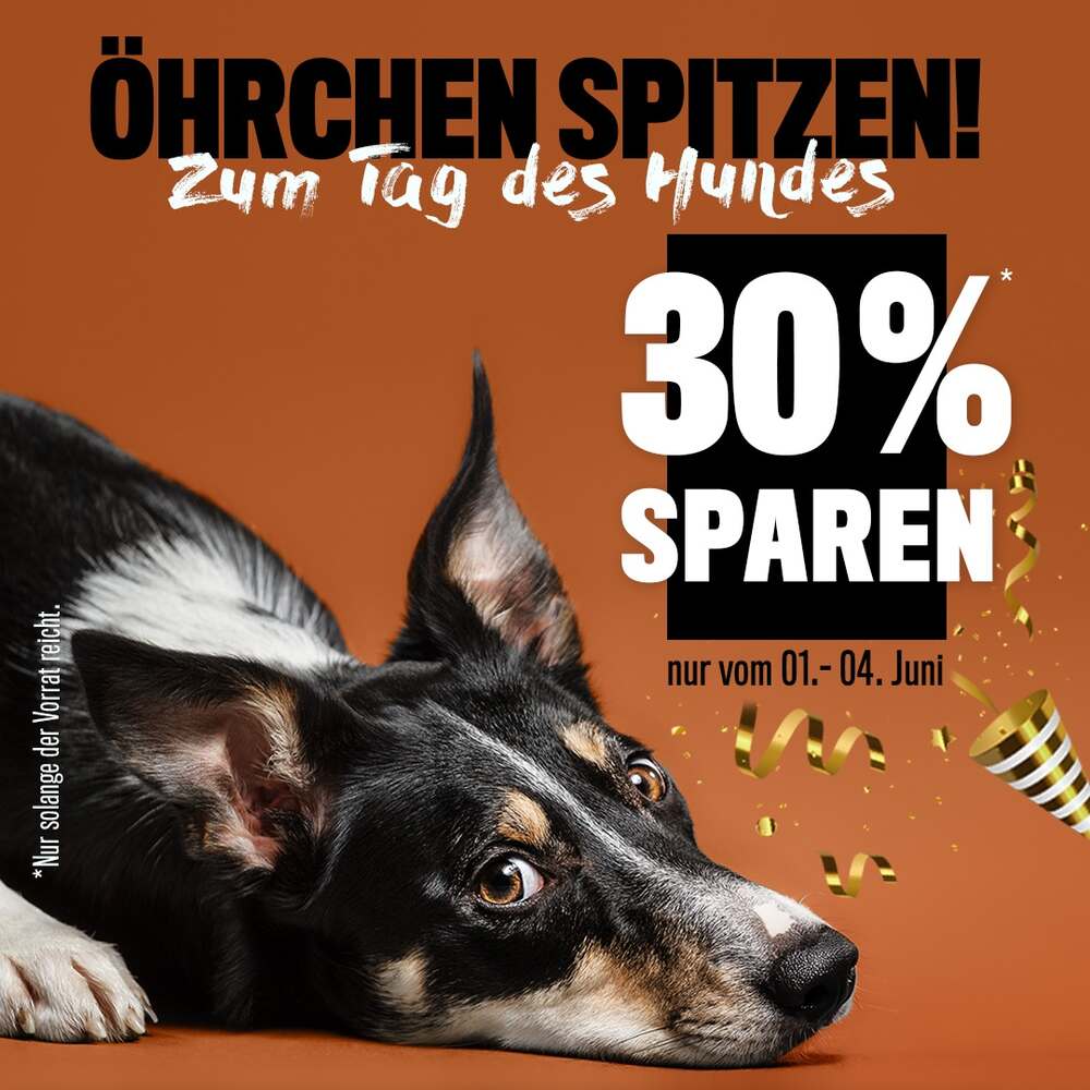 Alphazoo Gutschein zum Tag des Hundes
