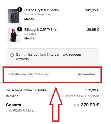Screenshot vom Eingabefeld mit Hinweis darauf, wo du deinen Alpinestars Rabattcode einlösen kannst