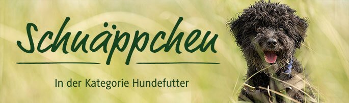 Banner für alsa-hundewelt-Sale-Angebote im Bereich Hundefutter