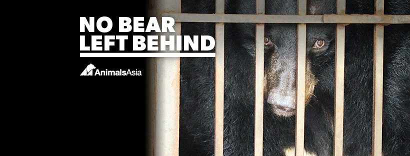 Animals Asia Foundation charity banner, no bear left behind