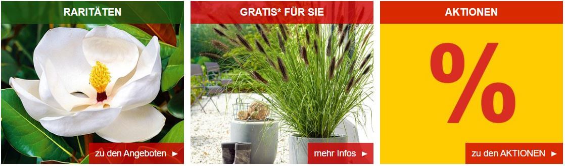Angebote für Raritäten, Gratis-Geschenke und Aktionen ermöglichen bei Baldur-Garten Rabatte