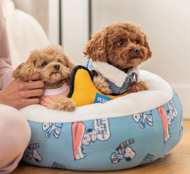 Berkshire Blankets dog bed with two small dogs