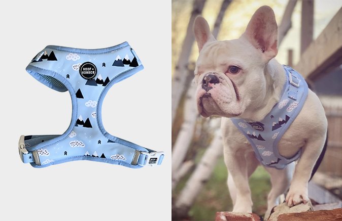 Alpine Paws - Adjustable Harness