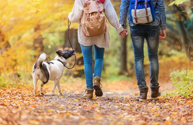Family walking in fall leaves