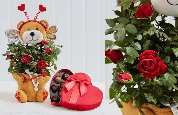 Flower Bouquets and Chocolate-Covered Fruit