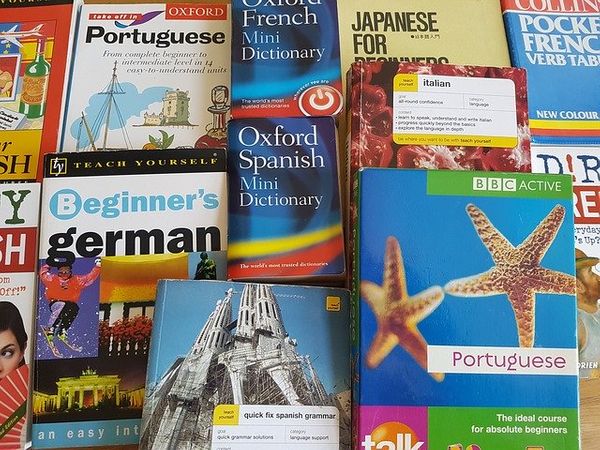Dictionaires de langues étrangères