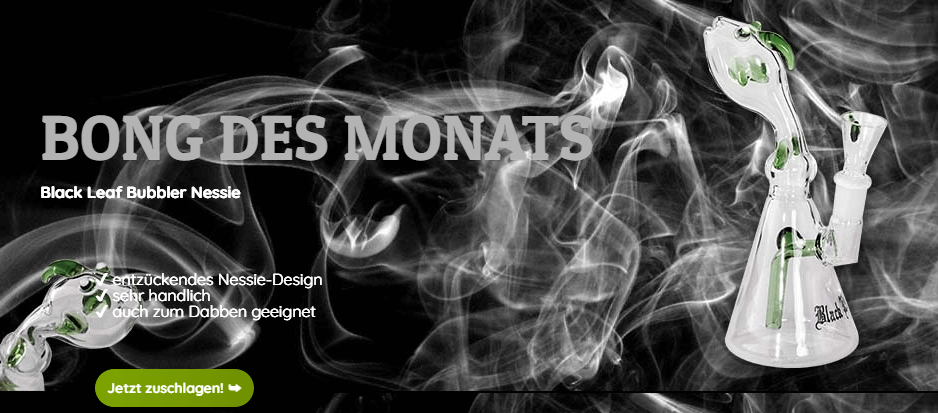 Banner für die Black Leaf Gutscheinseite mit Werbung für die Bong des Monats