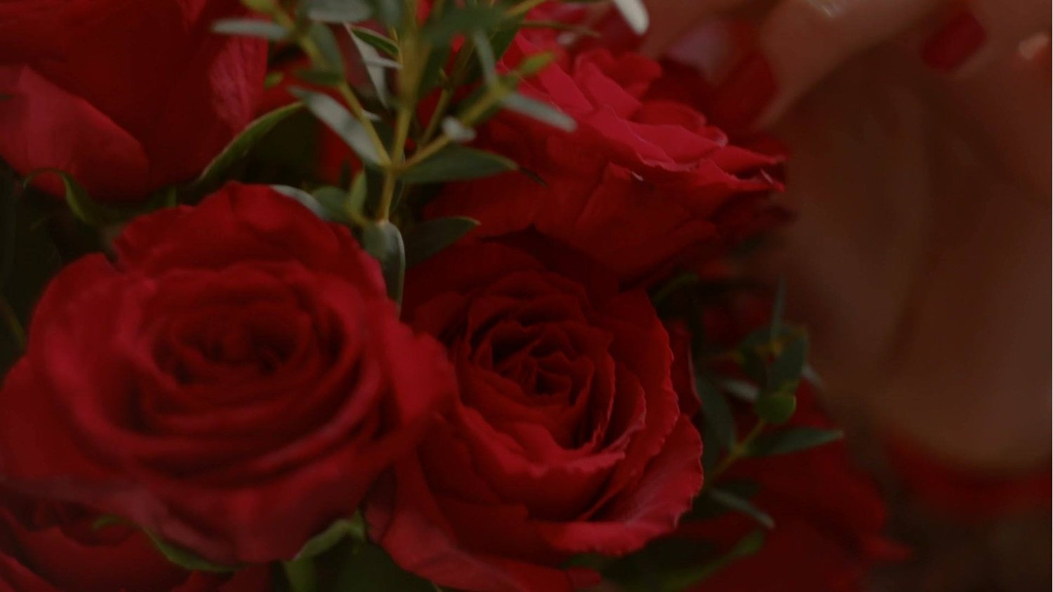 Bouquet of red roses from Bloom and Wild