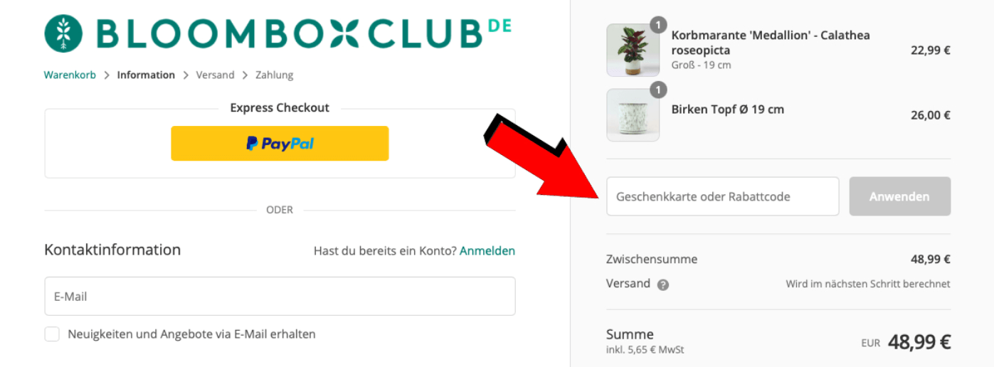 Warenkorb mit Eingabefeld für den Bloombox-Club-Promo-Code