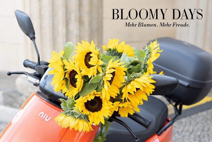 Sonnenblumen auf einem orangen Motorroller mit Firmenlogo für die Bloomy Days Gutscheinseite.