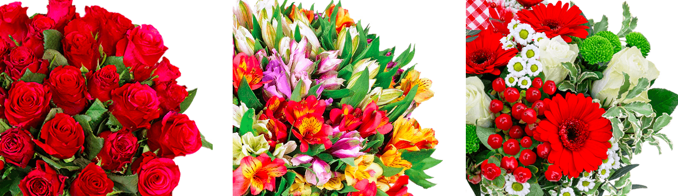 Blumen zum Jahrestag oder Valentinstag bei Blume Ideal im Online-Shop