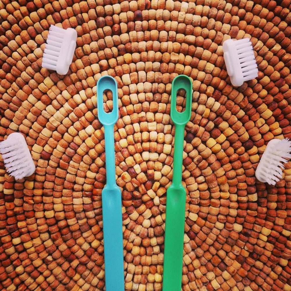 Brosses à dents Caliquo avec tête rechargeable