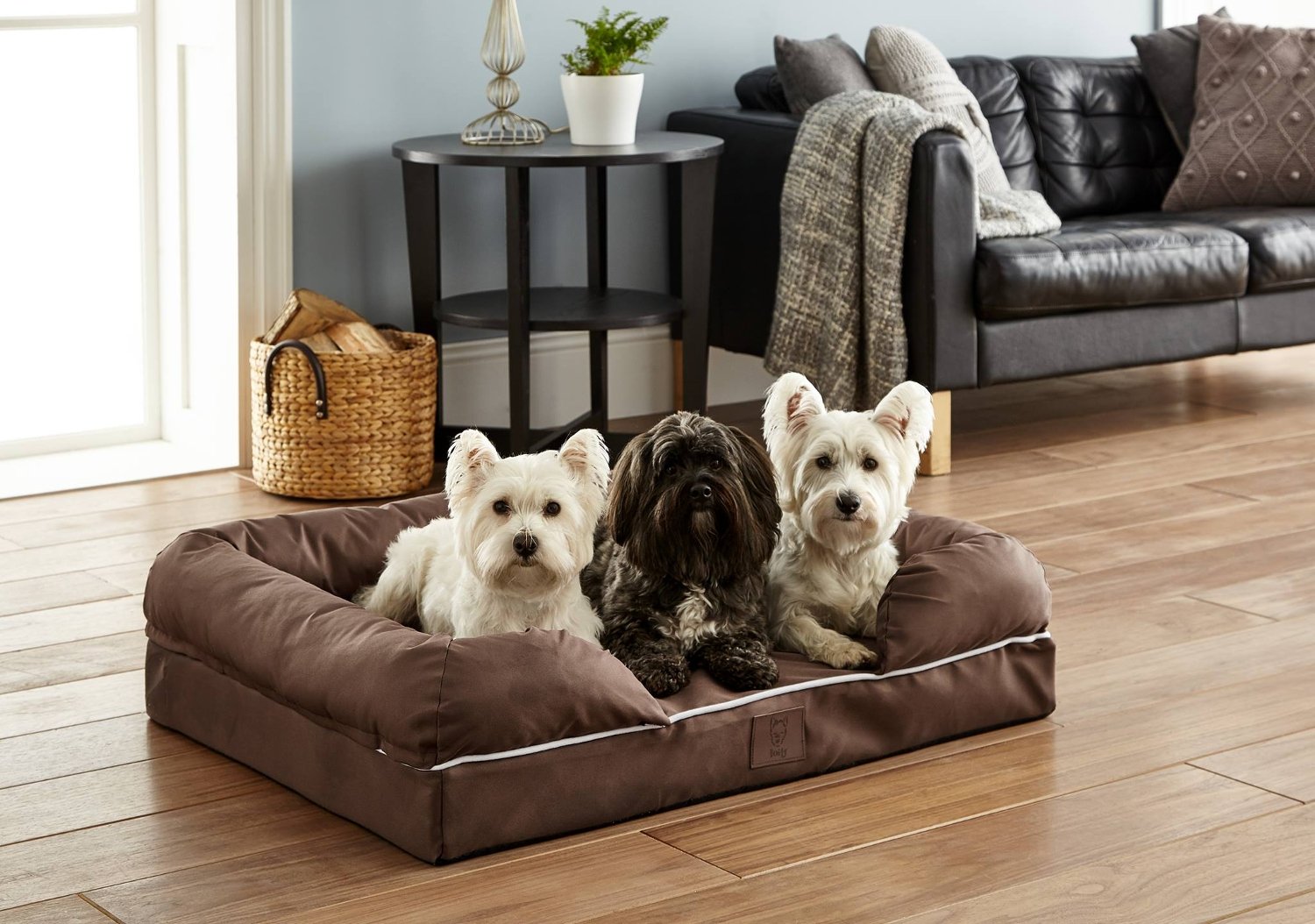Bunty discount codes banner - three dogs lying in a Bunty dog bed