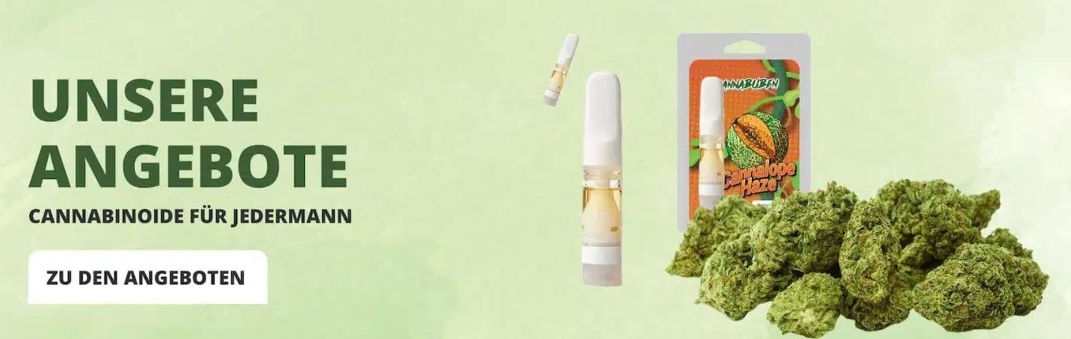 Banner für die Cannabuben Gutscheinseite: "Unsere Angebote - Cannabinoide für Jedermann"