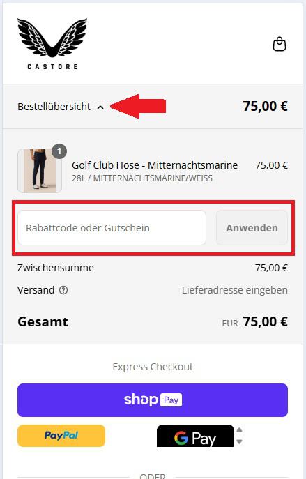 Screenshot vom Eingabefeld für den Castore Gutschein