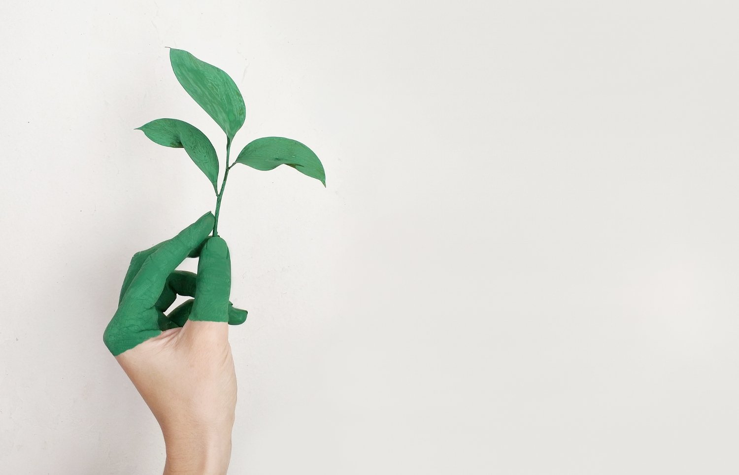 Main verte pour catégorie codes promo consommation responsable