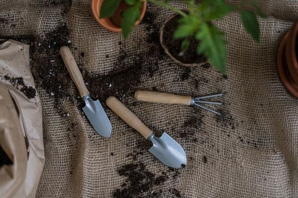 Outils et accessoires de jardinage
