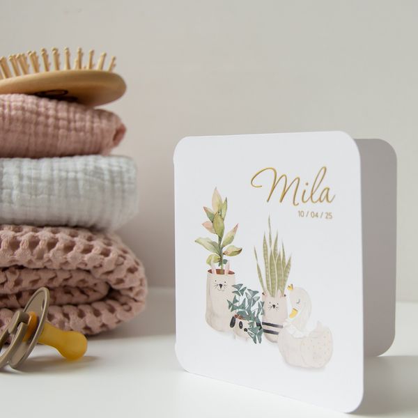 Faire-part de naissance Tadaaz