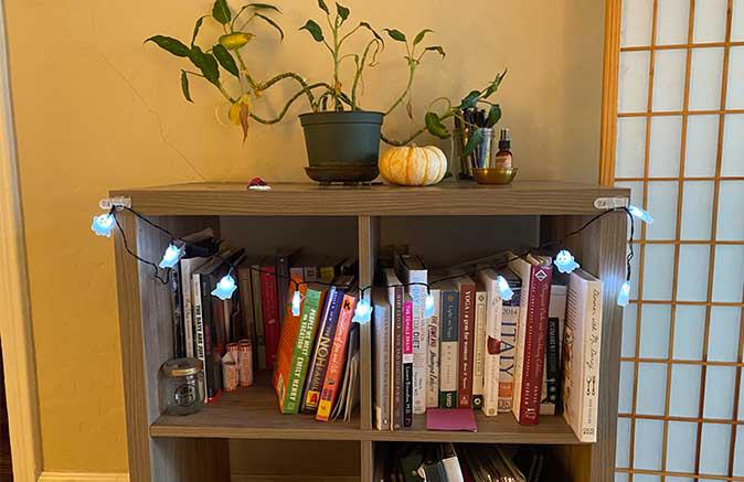 Halloween Decorations on bookshelf