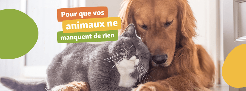 un chien et un chat enlacés avec slogan Maxi Zoo