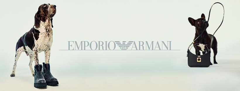 chiens portant chaussures et sac Emporio Armani