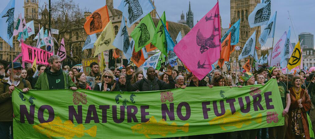 Climate protest image showing a group of people with a banner stating 'no nature, no future'