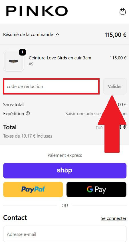 Encadré pour code promo Pinko dans le panier de commande