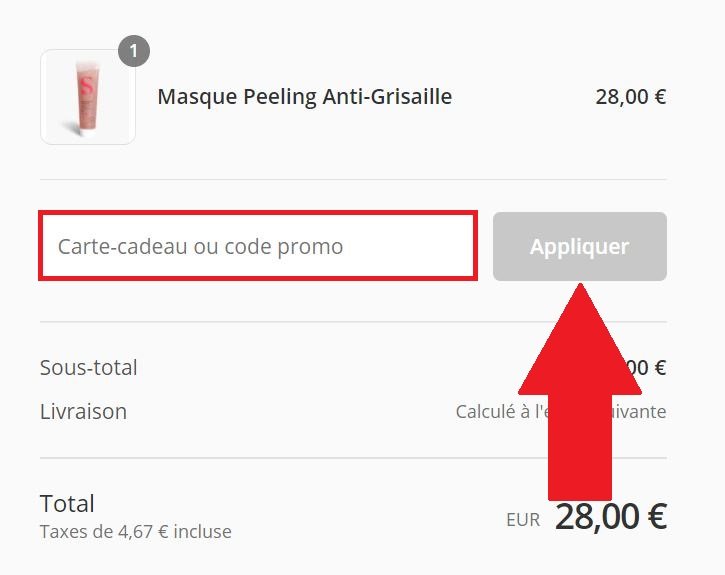 Emplacement de code promo Seasonly dans le panier de commande