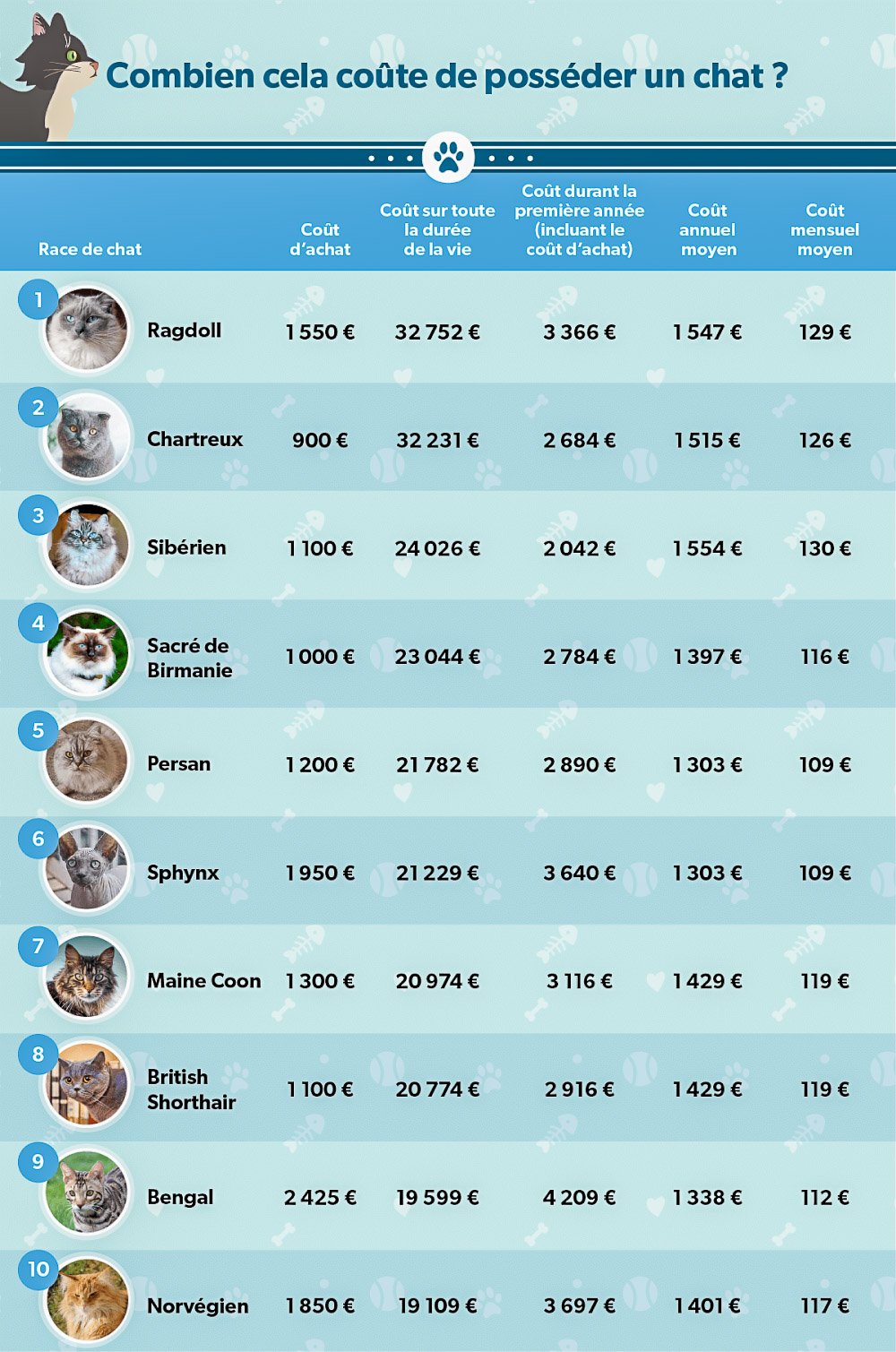 Infographie présentant les différents coûts selon les races de chats