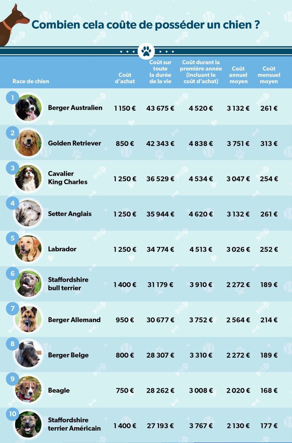 Infographie présentant les différents coûts selon les races de chien