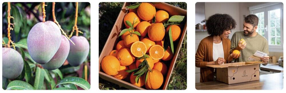 Obst aus dem CrowdFarming Sortiment