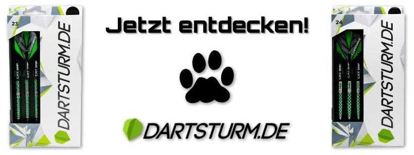 Banner für die DartSturm Gutscheinseite mit Foto von Dartpfeilen