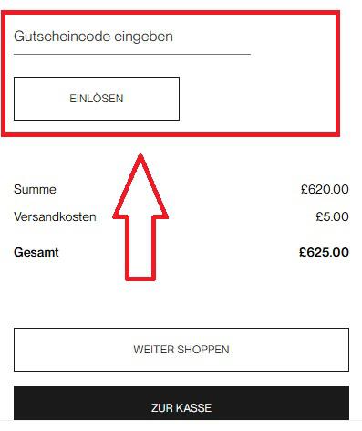 Screenshot von der Bestellübersicht, um einen Dorothee Schumacher Gutschein einzugeben