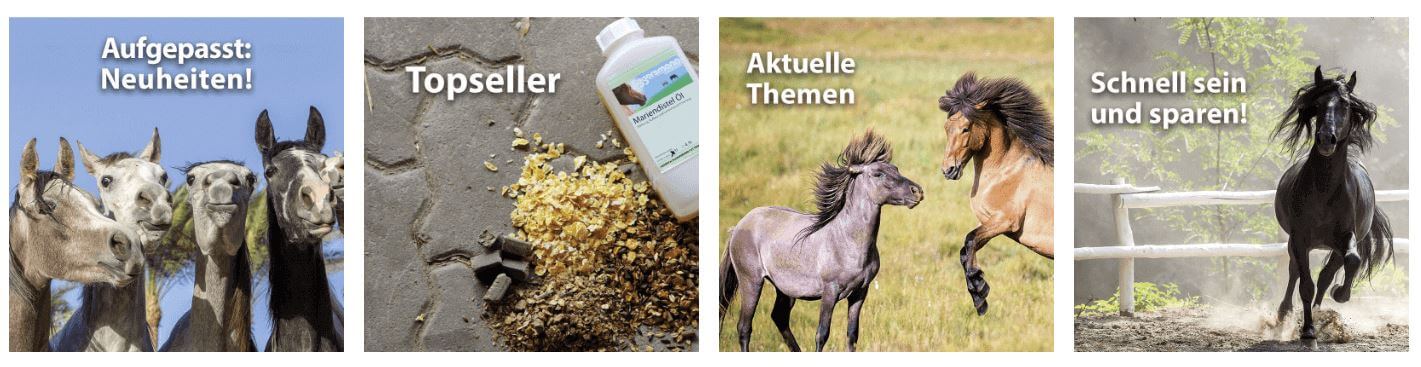 Banner für die Eggersmann-Gutscheinseite mit Übersichten der Themen "Neuheiten", "Topseller", "Aktuelle Themen" und " Schnell sein und sparen" im Online-Shop