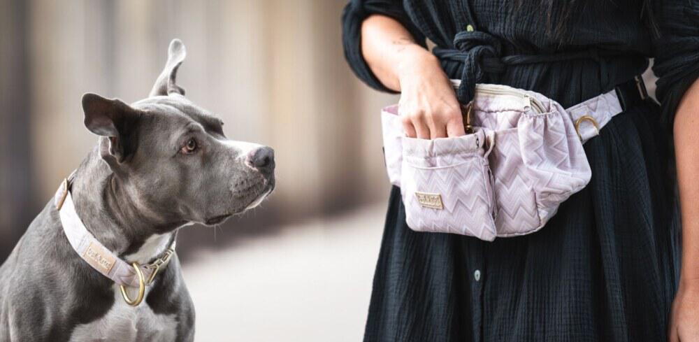 Halsband und Gassitasche von Emmy und Pepe