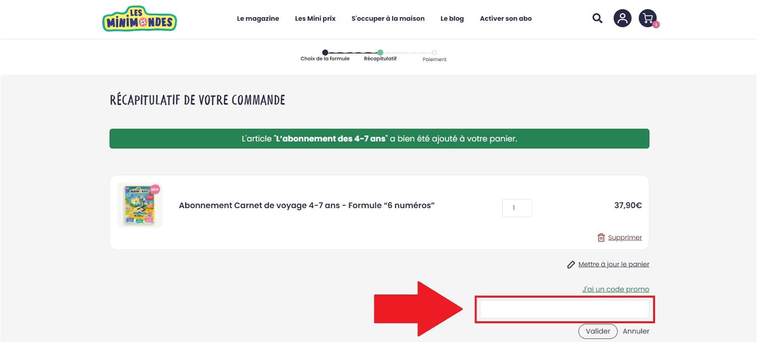 Emplacement code promo Les mini mondes