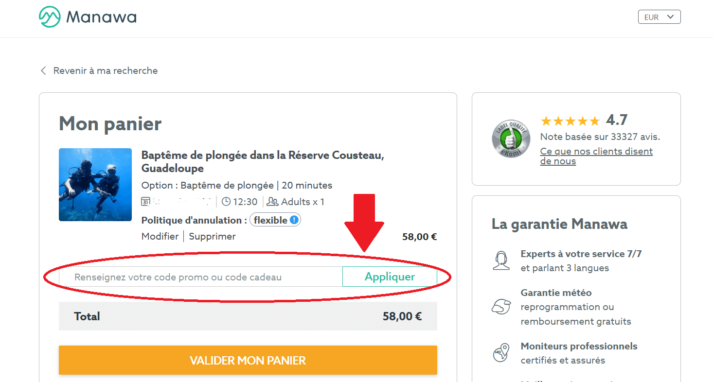 panier d&apos;achat avec emplacement pour code promo Manawa