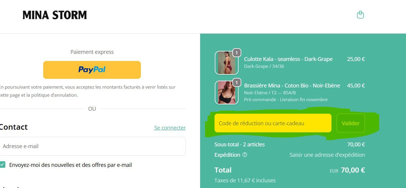 panier d'achat avec emplacement pour code promo Mina Storm