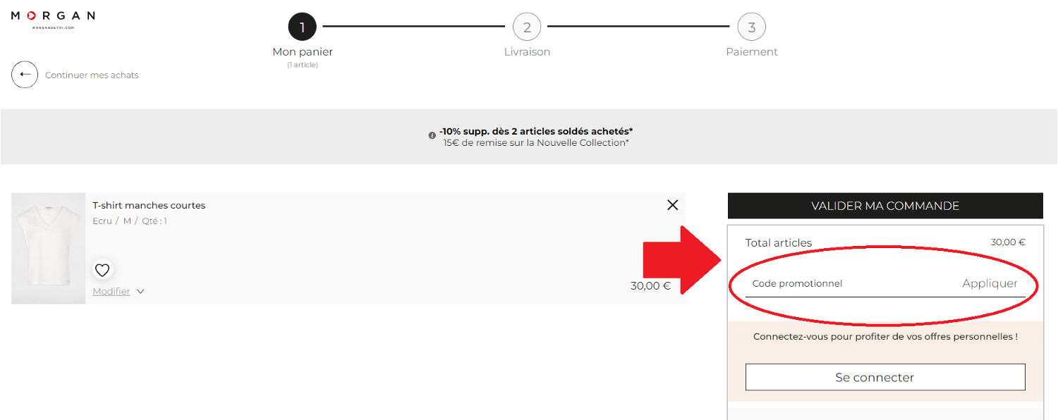 panier d&apos;achat avec emplacement pour code promo Morgan